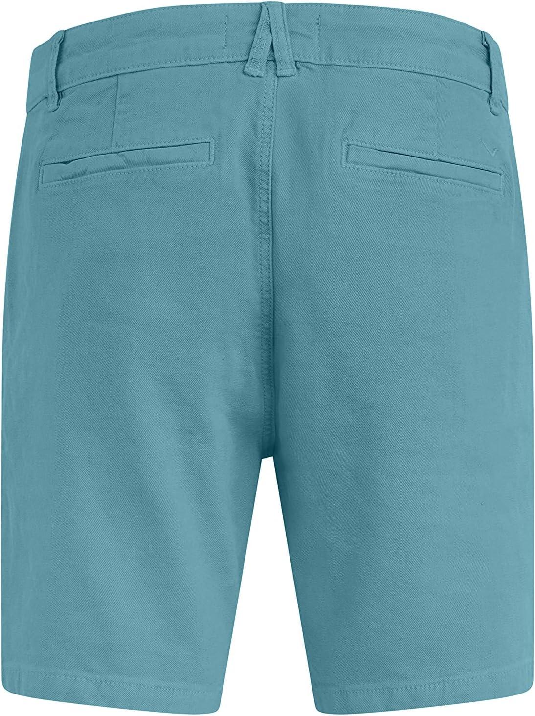 imageHUDSON Mens Chino ShortSky